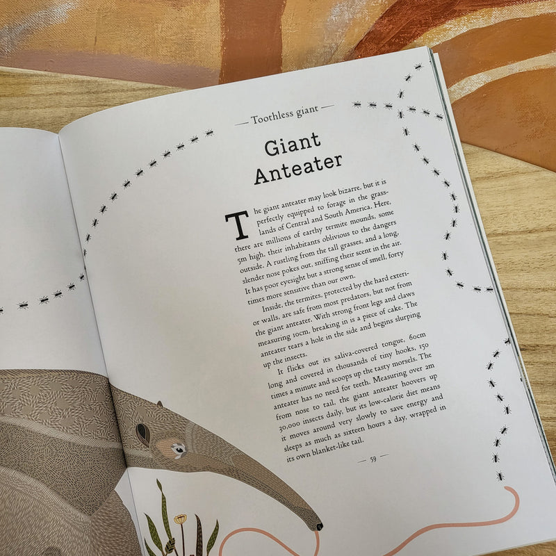 Image of a kid's book about A Wild Childs Guide to Endangered Animals and the page is about a giant anteater.