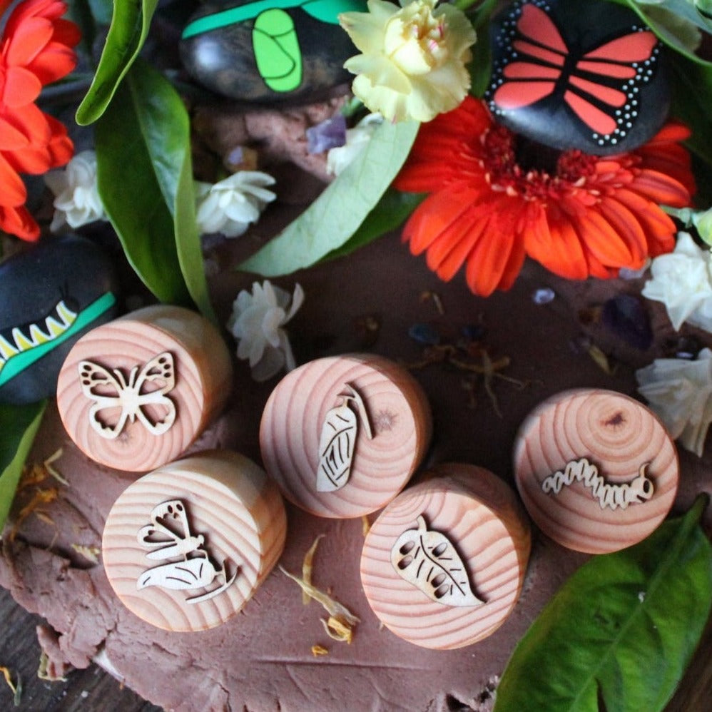 butterfly life cycle stamps