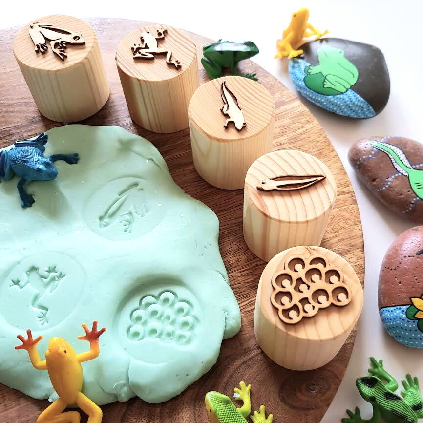 lifecycle of a frog stamps