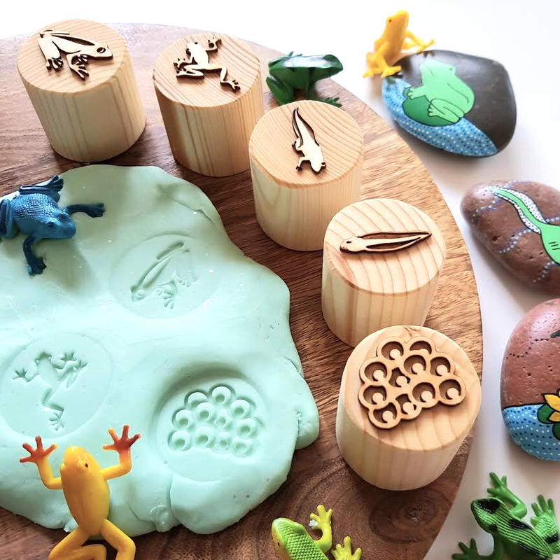 lifecycle of a frog stamps