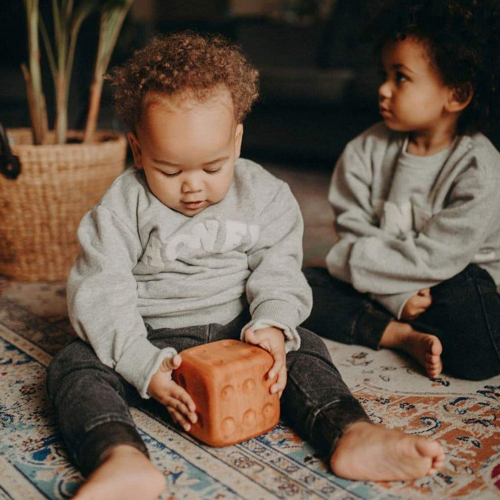 Image of a toddler holding a large wooden dice, sitting on a rug with another child in the background. they are both wearing grey jumpers and have black curly hair.