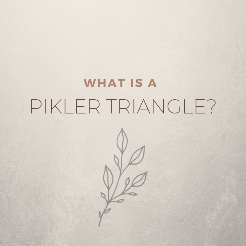 What is a Pikler Triangle? – Little Big Learning