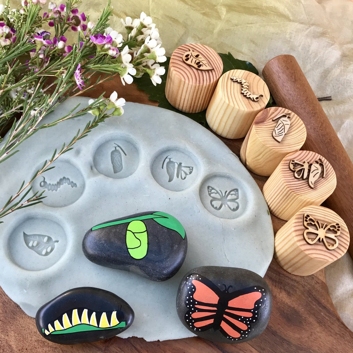 Wooden Play Dough Stamps | Butterfly Lifecycle Set