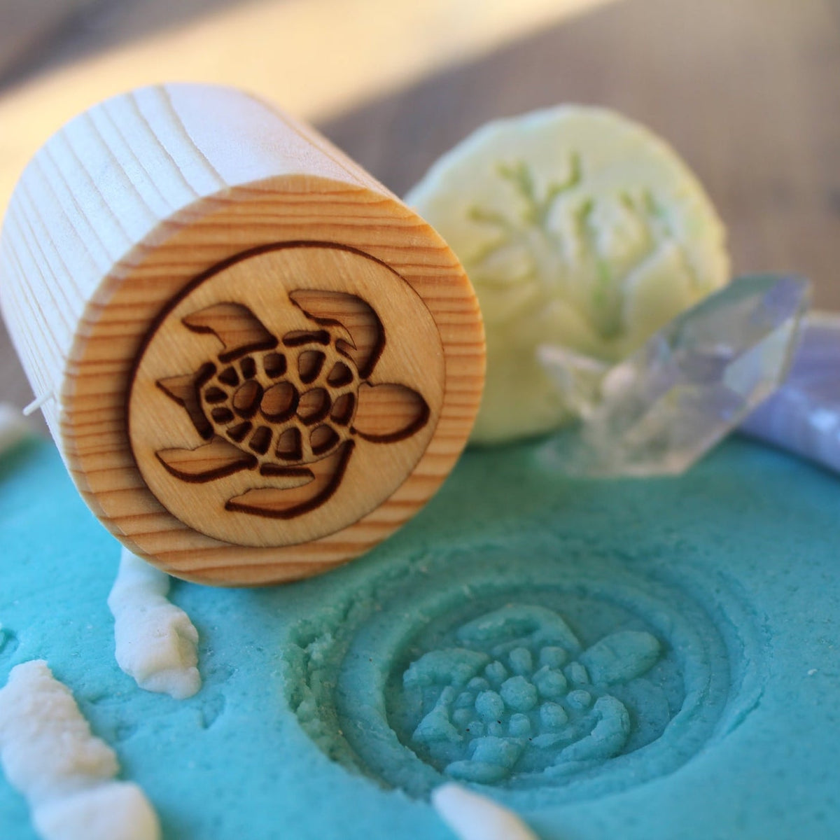 Wooden Play Dough Stamps | Turtle Lifecycle Set