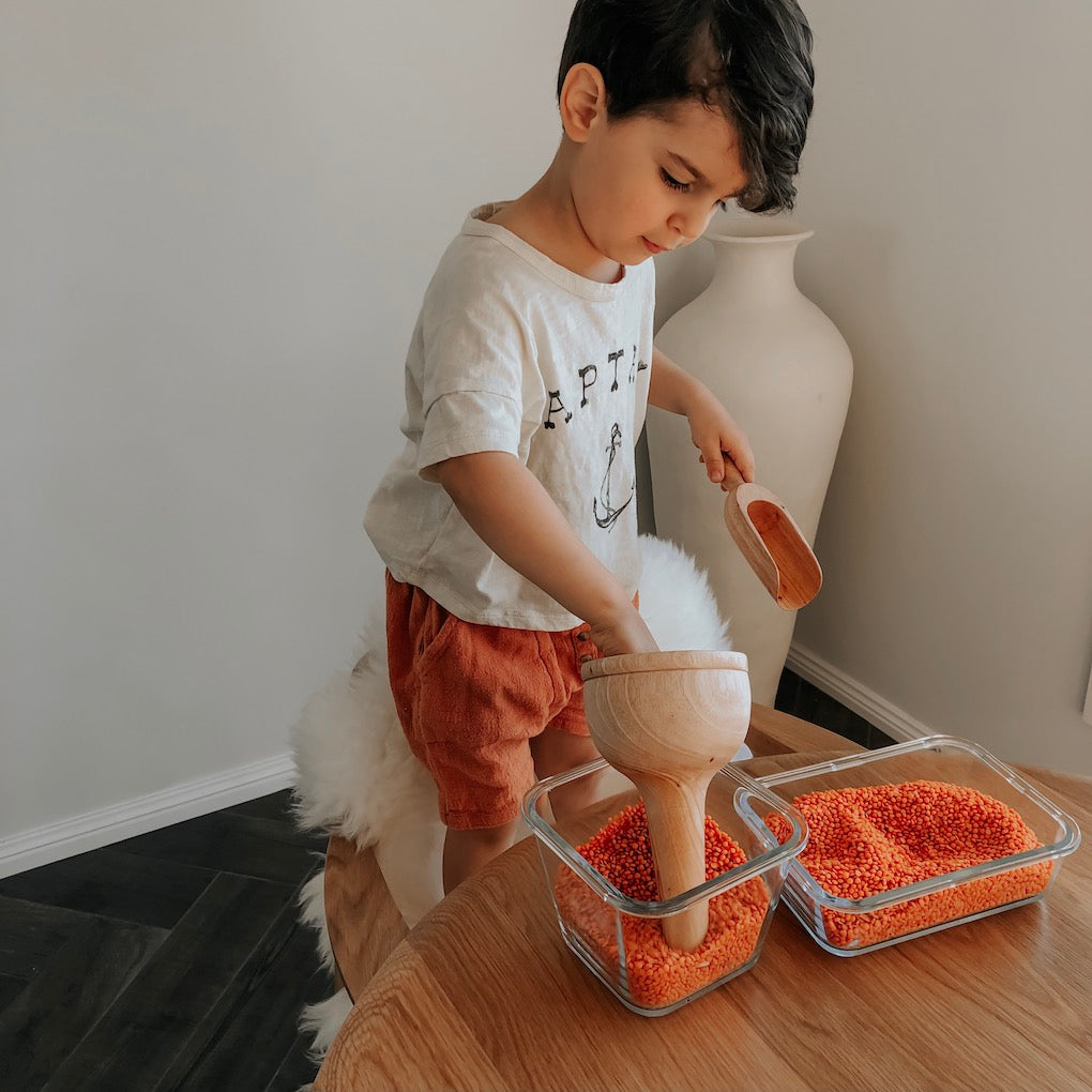 an image of a child wearing white top and red shorts standing at a timber table holding a wooden funnel and wooden scoop there are two glass containers on the table filled with dried red lentils with a tall white vase in the background